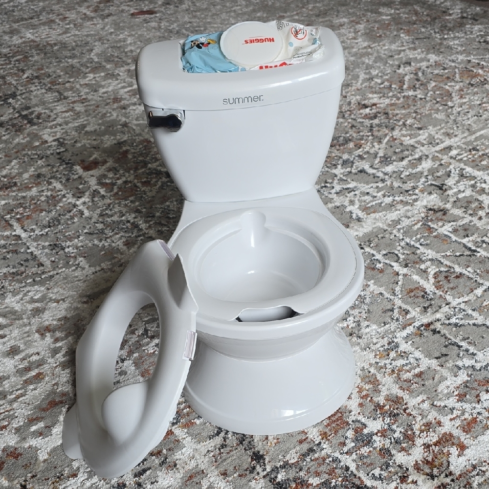 Gray Potty Training Toilet